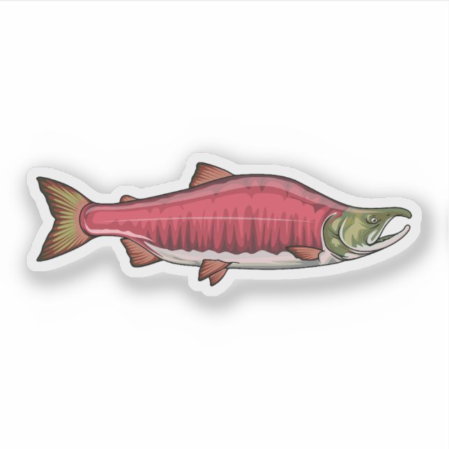 Sockeye Salmon Spawning Phase 2 Sticker (Front)