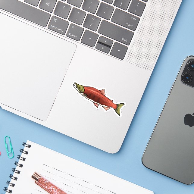 Sockeye Salmon Spawning Phase Sticker (Laptop w/ iPhone)