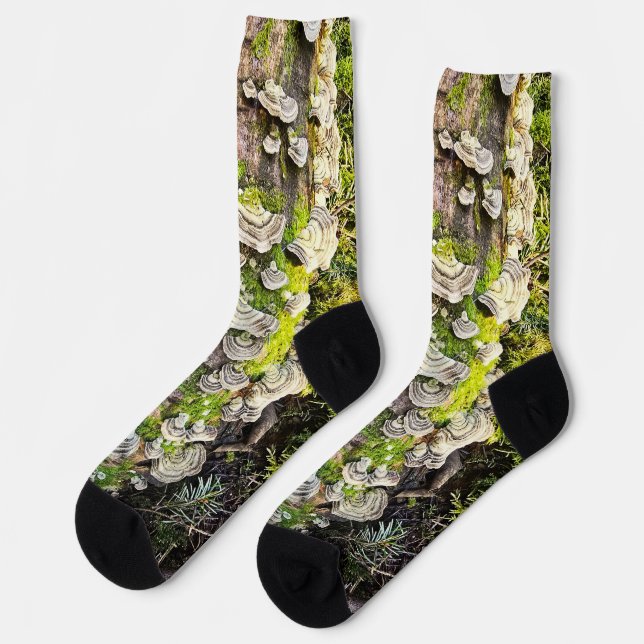Socks. Design Turkey Tail Mushrooms Socks (Left)