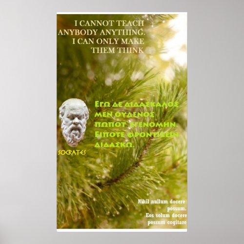 Socrates famous quote _ I cannot teach Poster