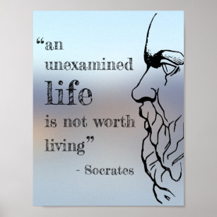 the unexamined life is not worth living quotes