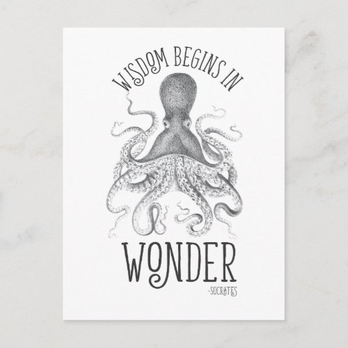 Socratic Cephalopod Postcard
