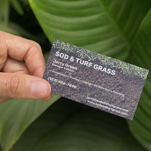 Sod and Turf Lawn Care Services Business Card