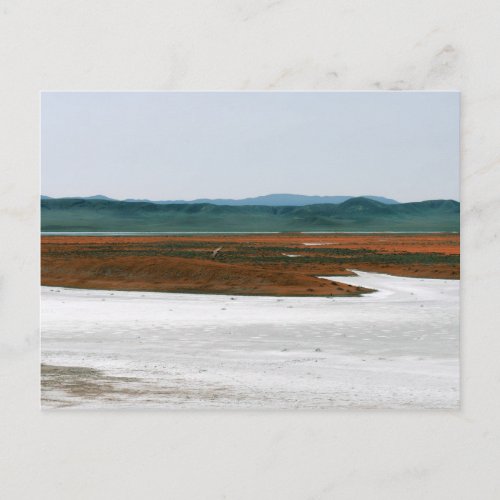 Soda Lake Carrizo Plain National Monument CA Postcard