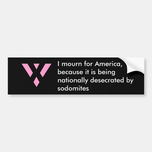 Sodomy Shame Day _ June 28th Bumper Sticker