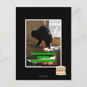 Sofa Bison Postcard