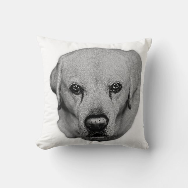 Sofa Guardian, Soft Gaze Throw Pillow (Front)