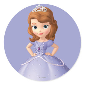 Magic Castle Gifts: Sofia the First Gifts