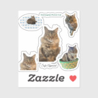 Sofie approved Norwegian Forest Cat Vinyl Stickers