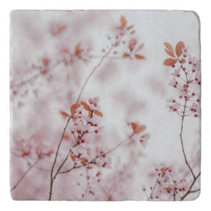 Soft abstract sakuras, aesthetic photo trivet