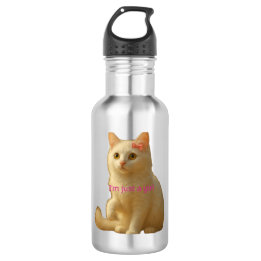Soft Aesthetic Cat Meme and Feminine  Stainless Steel Water Bottle