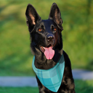 Soft Aqua Teal Green Plaid Aesthetic Pet Bandana Collar