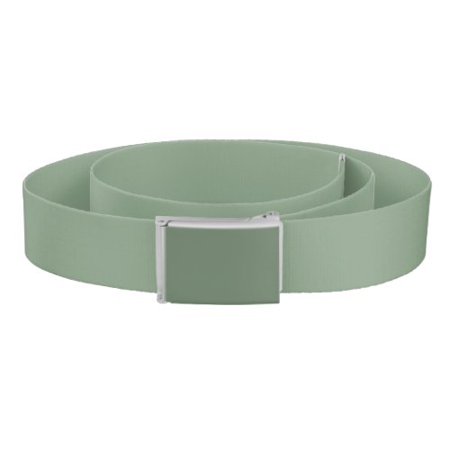 Soft Basil Green Muted Neutral Solid Color Belt