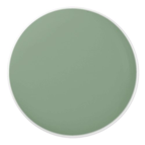 Soft Basil Green Muted Neutral Solid Color Ceramic Knob