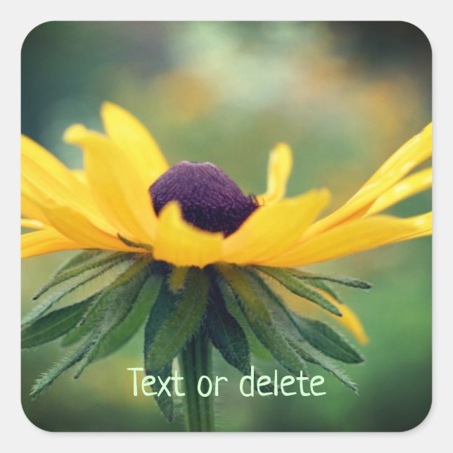 Soft Black Eyed Susan Flower Personalized Square Sticker (Front)
