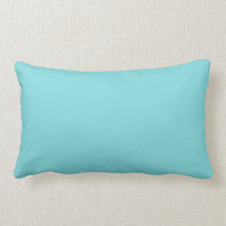 “Soft Blue Color” Lumbar Pillow