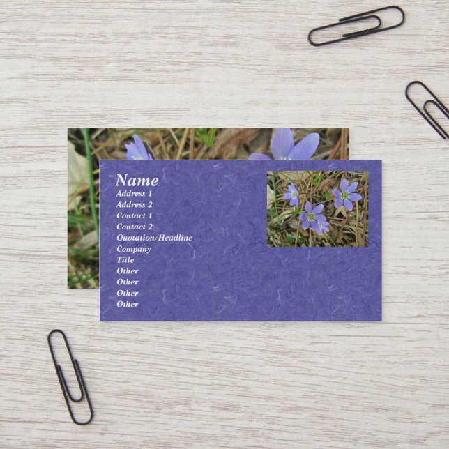 Soft Blue Hepatica Business Card (Front/Back In Situ)