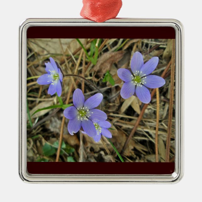 Soft Blue Hepatica Wildflower Ornament (Front)