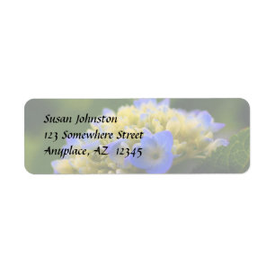 Soft Blue Hydrangea Flower Address Label