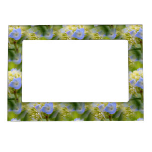 Soft Blue Hydrangea Flower Nature Pattern      Magnetic Frame