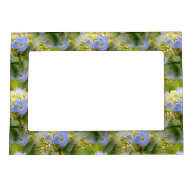 Soft Blue Hydrangea Flower Nature Pattern      Magnetic Frame (Front)