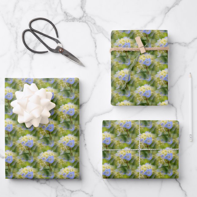 Soft Blue Hydrangea Flower Pattern Nature   Wrapping Paper Sheets (Front)