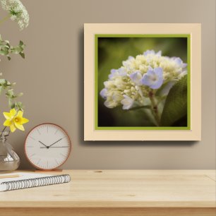 Soft Blue Hydrangea Flower Tinted Framed Art