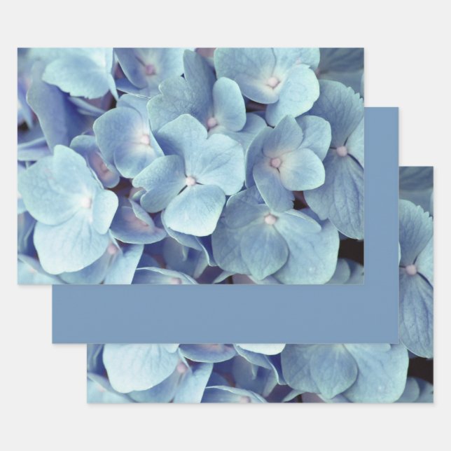 Soft Blue Hydrangea Pattern  Wrapping Paper Sheets (Set)