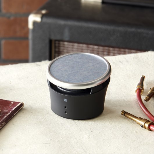 Soft Blue Tint Rowan Speaker (In Situ)