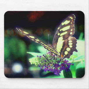 Soft Butterfly On Flower Nature Mouse Pad