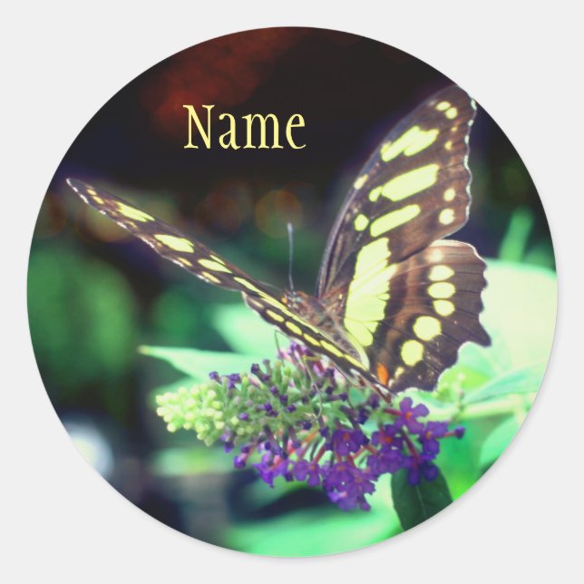 Soft Butterfly On Flower Nature Personalized Classic Round Sticker (Front)