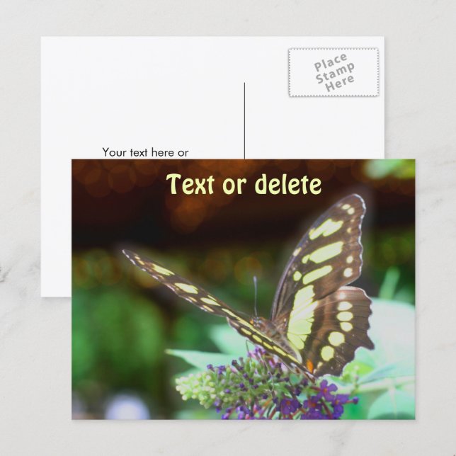 Soft Butterfly On Flower Nature Photo Personalized Postcard (Front/Back)