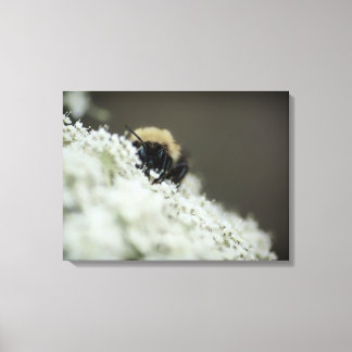 Soft Canvas Print