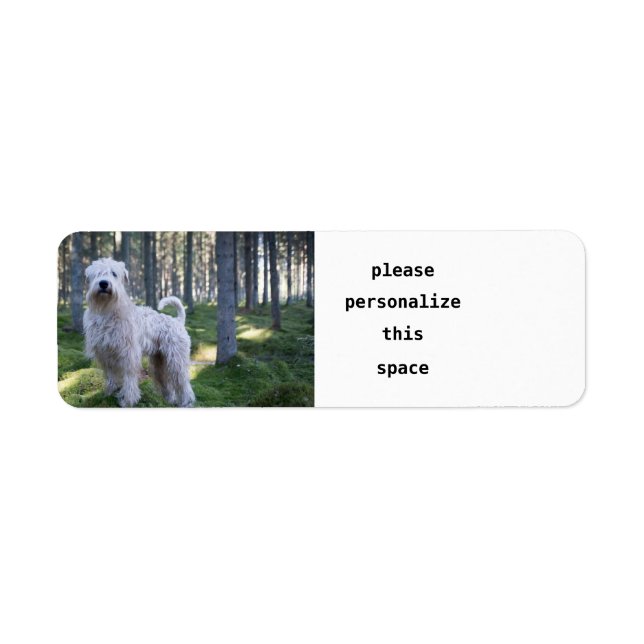 soft caoted wheten terrier full in woods label (Front)