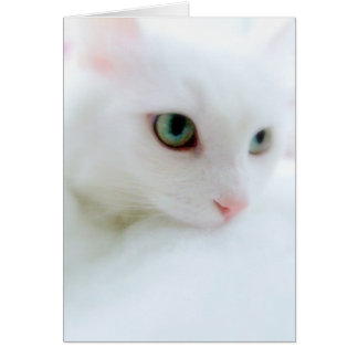 Soft Clouds Cards
