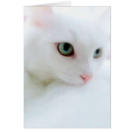 Soft Clouds Cards (Front)