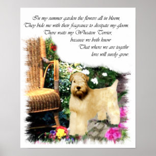 Soft Coated Wheaten Terrier Art Gifts Poster