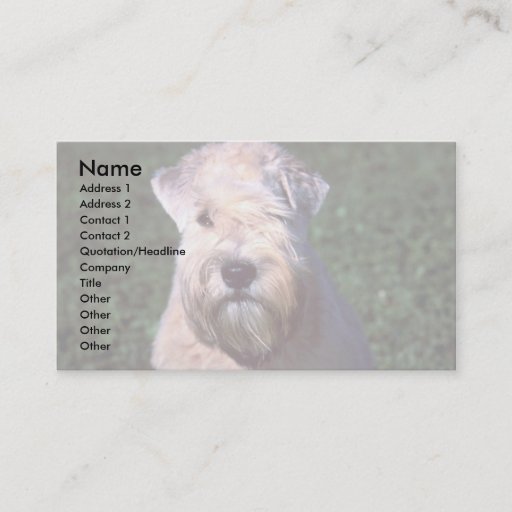 Customizable Soft-coated Wheaten Terrier Business Card