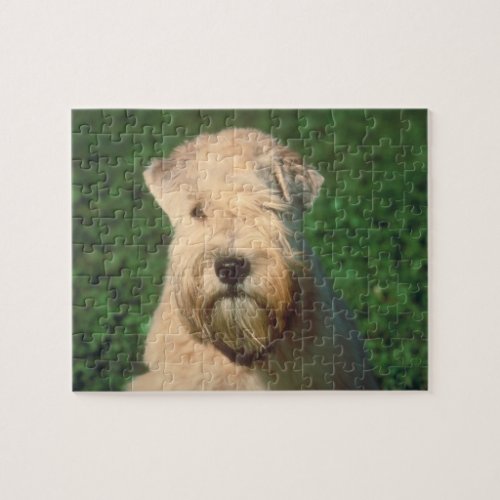 Soft Coated Wheaten Terrier Dog Puzzle