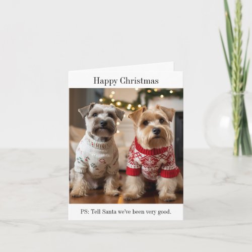 Soft Coated Wheaten Terrier Dogs Christmas Card