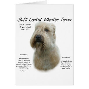 Soft Coated Wheaten Terrier History Design Cards