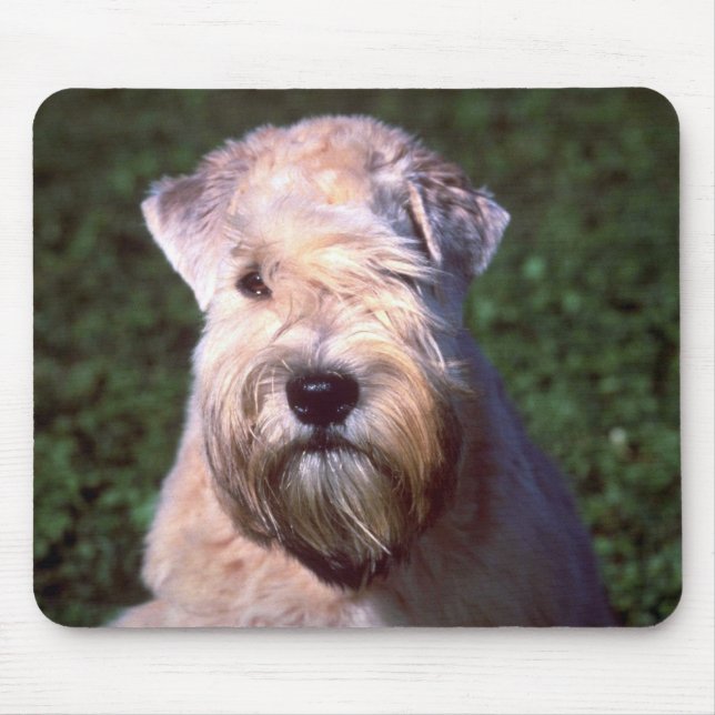 Soft-coated Wheaten Terrier Mouse Pad (Front)