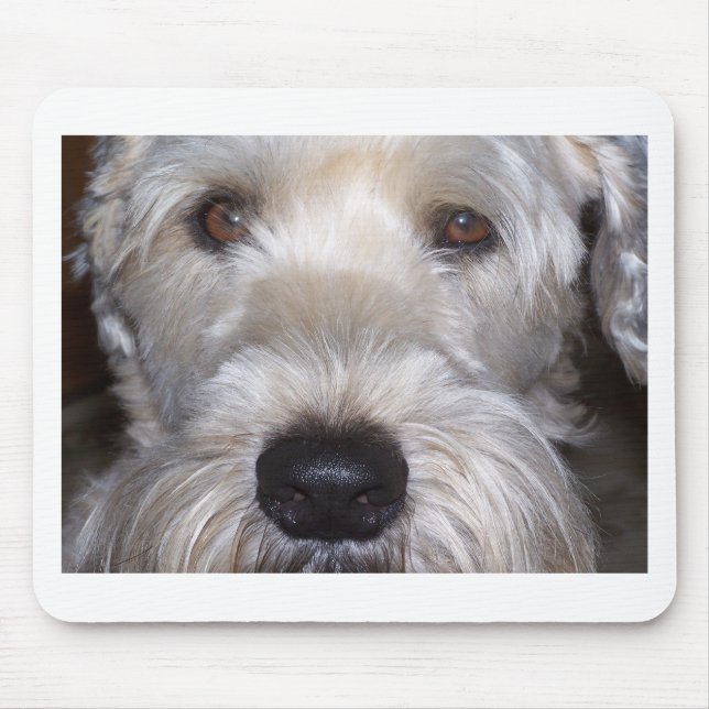 Soft Coated Wheaten Terrier Mouse Pad (Front)