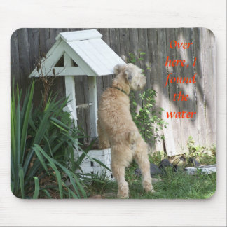 Soft Coated Wheaten Terrier on  wishing well Mouse Pad