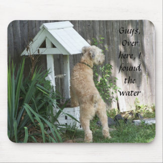 Soft Coated Wheaten Terrier on  wishing well Mouse Pad