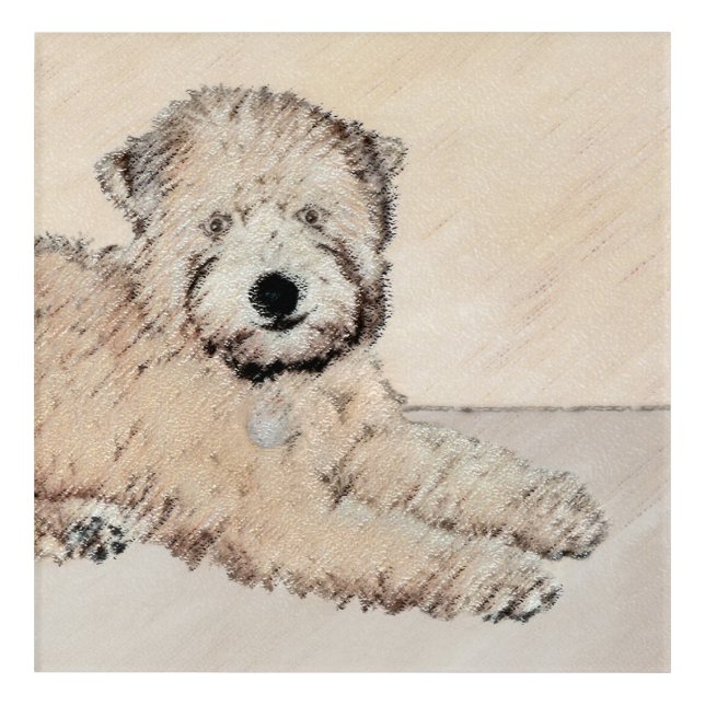 Soft Coated Wheaten Terrier Painting Original Art (Front)