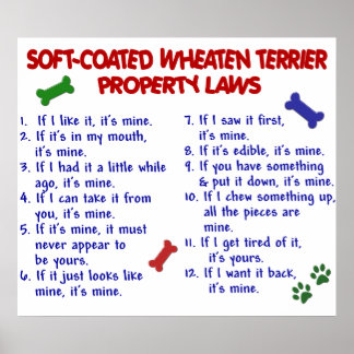 SOFT-COATED WHEATEN TERRIER PL2 POSTER