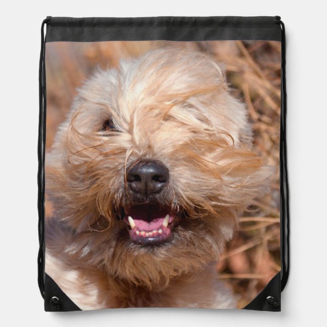 Soft Coated Wheaten Terrier portrait Drawstring Bag (Front)