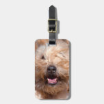 Soft Coated Wheaten Terrier Portrait Luggage Tag at Zazzle