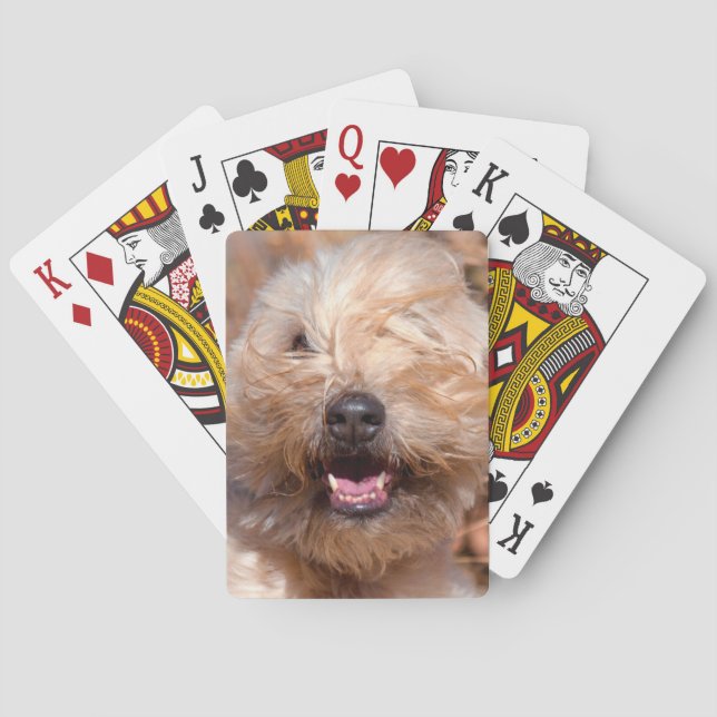 Soft Coated Wheaten Terrier portrait Poker Cards (Back)